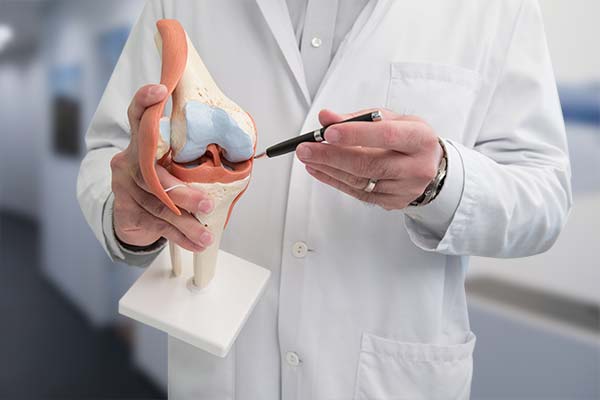 Dr Diezi Knie Meniskus-klein